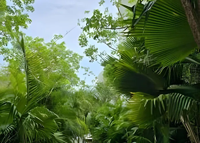 Xalet Refugio De Lujo | Cenote & Concierge Vip Tulum
