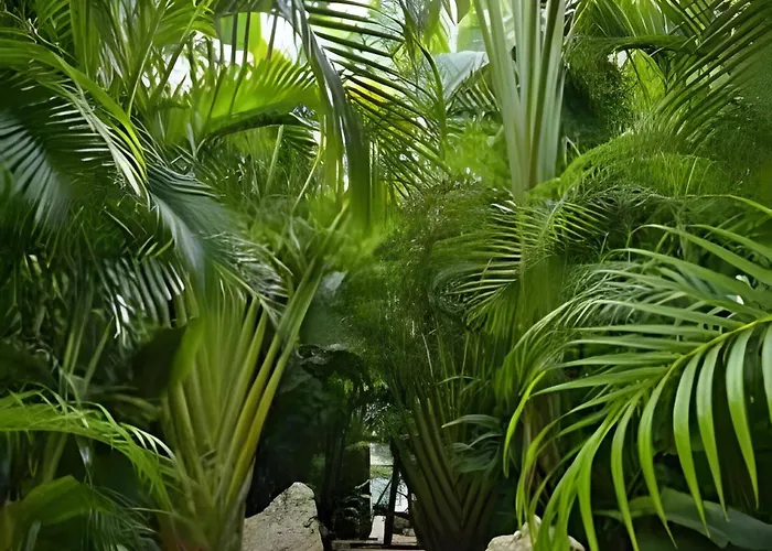 Xalet Refugio De Lujo | Cenote & Concierge Vip Apartment
